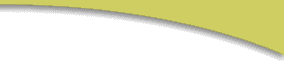 Windshields To Go - Mobile Service Repair and Replacement - Very low prices
